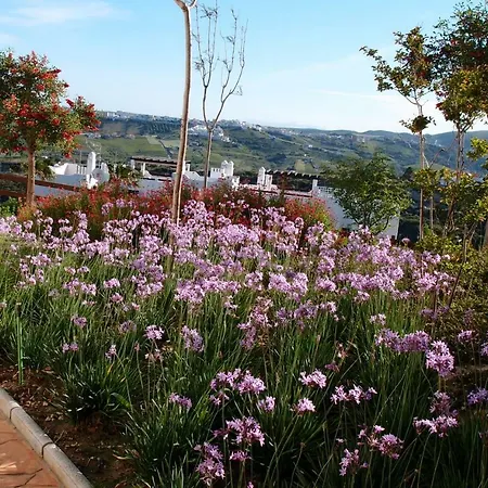 Apartment Augusta Sunshine Sea & Golf Casares